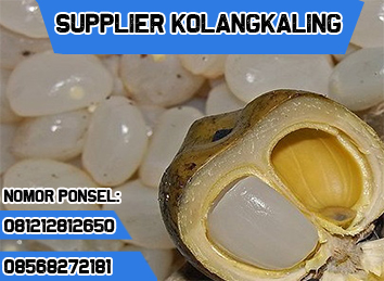 081212812650 Distributor Jual Kolang-Kaling Kualitas Super Harga Murah